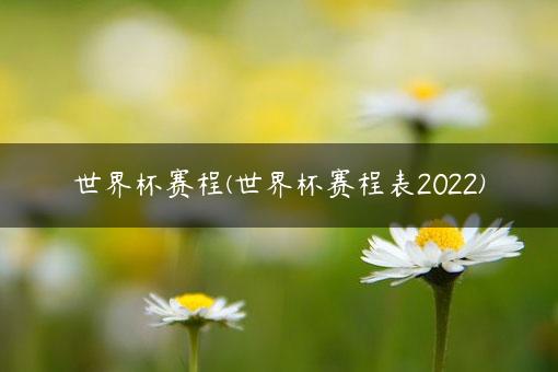 世界杯赛程(世界杯赛程表2022)