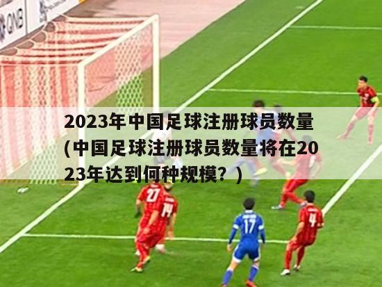 2023年中国足球注册球员数量(中国足球注册球员数量将在2023年达到何种规模？)