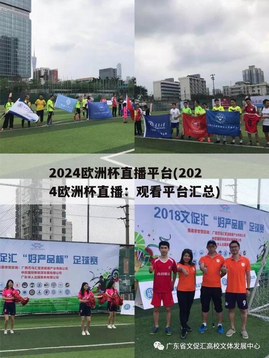 2024欧洲杯直播平台(2024欧洲杯直播：观看平台汇总)