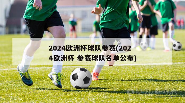 2024欧洲杯球队参赛(2024欧洲杯 参赛球队名单公布)