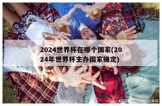 2024世界杯在哪个国家(2024年世界杯主办国家确定)