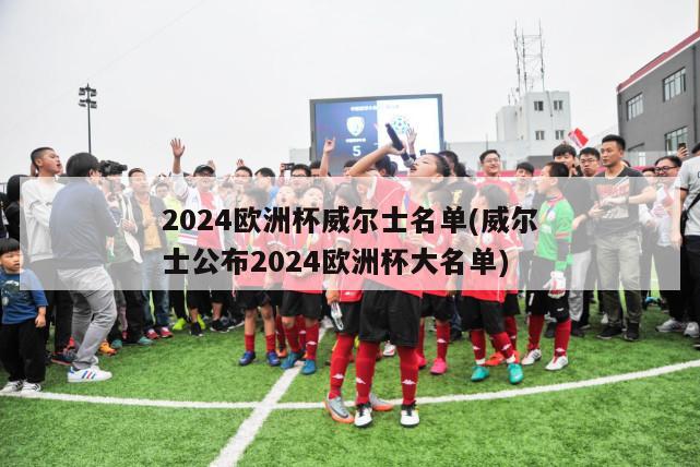 2024欧洲杯威尔士名单(威尔士公布2024欧洲杯大名单)