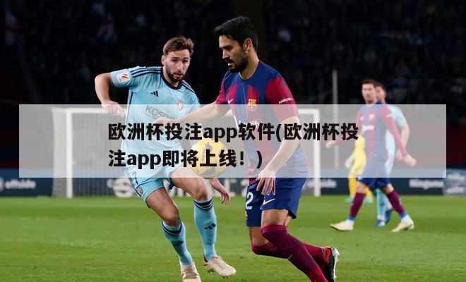 欧洲杯投注app软件(欧洲杯投注app即将上线！)