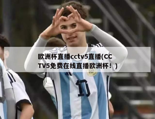 欧洲杯直播cctv5直播(CCTV5免费在线直播欧洲杯！)