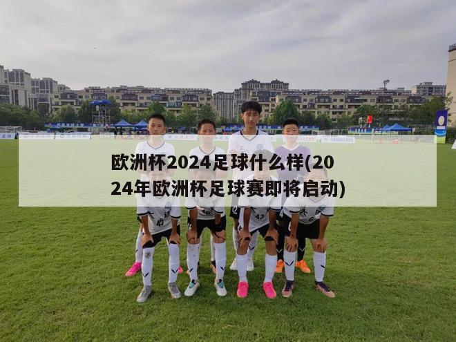 欧洲杯2024足球什么样(2024年欧洲杯足球赛即将启动)